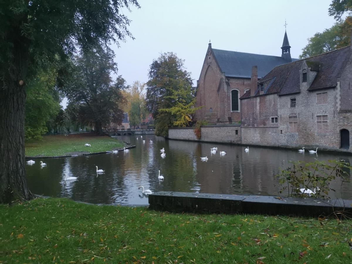 Nostalgia Homestay Bruges Luaran gambar